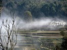 熊貓旅游專列：吐魯番火焰山 、庫車王府、輪臺胡楊林、帕米爾高原、喀什古城/哈密伊吾胡楊林空調專列12日游